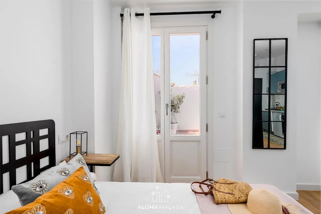 Apartment Can Malaga Apartments, Centro Historico By Alohamalaga Spain