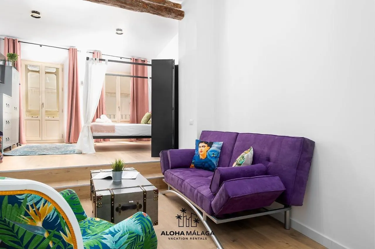 Apartment Can Malaga Apartments, Centro Historico By Alohamalaga