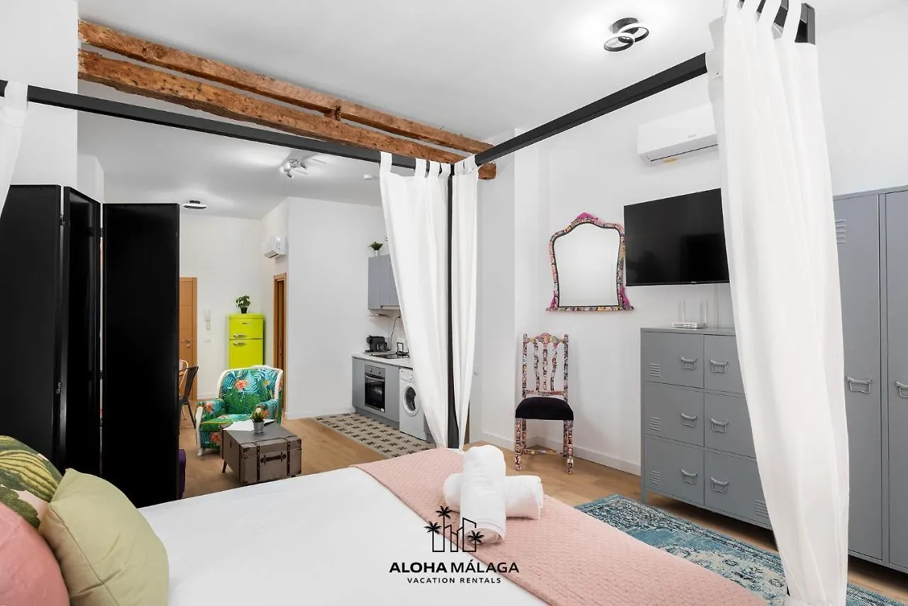 Apartment Can Malaga Apartments, Centro Historico By Alohamalaga Spain