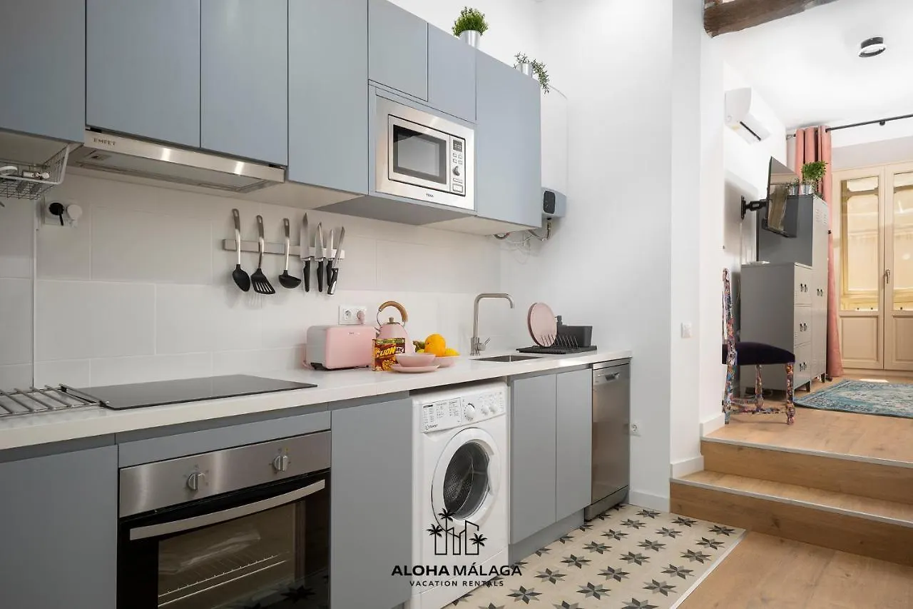 Can Malaga Apartments, Centro Historico By Alohamalaga