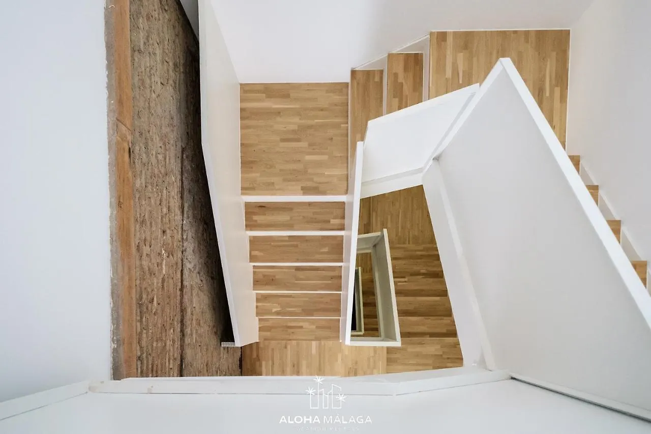 Can Malaga Apartments, Centro Historico By Alohamalaga Spain