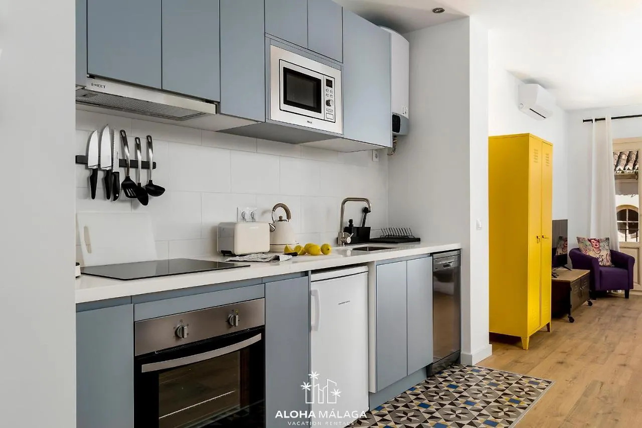 Can Malaga Apartments, Centro Historico By Alohamalaga 0*,